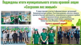 Подведены итоги муниципального этапа краевой акции «Сохраним лес живым!».
